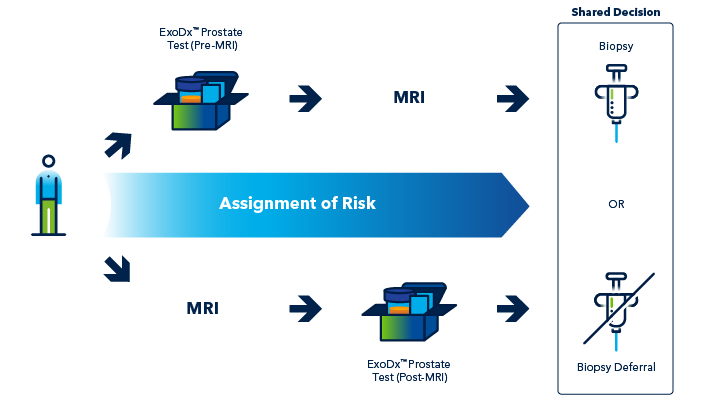 MpMRI Workflow